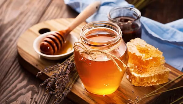 تصویر 2 از خرید عسل خام ارگانیک + قیمت فروش استثنایی